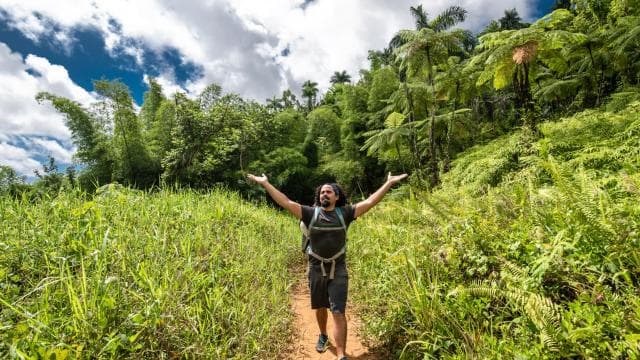From San Juan: El Yunque Forest Hike & Ziplining Combo Tour