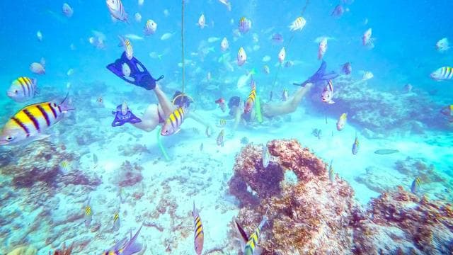 Punta Cana: Guided Power Dive Adventure