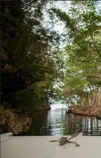 Los Haitises + Montaña Redonda + Cano Hondo Waterfalls