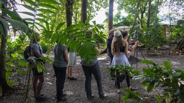 La Fortuna: Sloths & Coffee, Chocolate and Sugarcane Tour