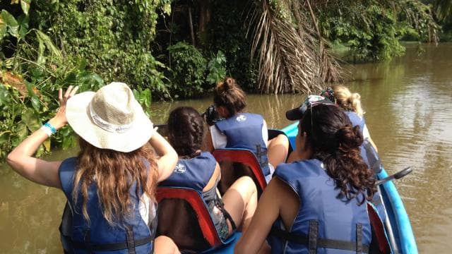 Tortuguero: Canoe Tour and Wildlife Spotting