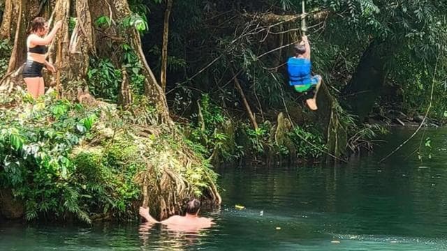 El Yunque Rainforest Puerto Rico Private Tour From San Juan