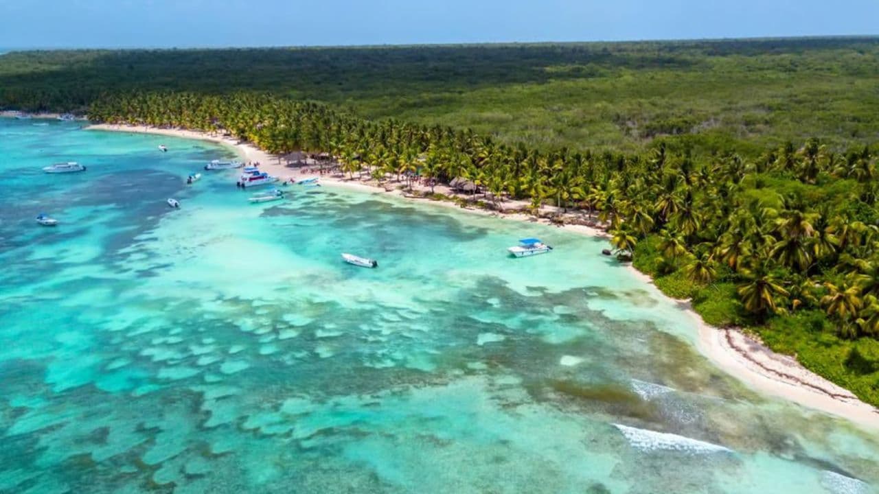Full-Day Saona Island Tour by Speedboat