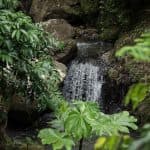 El Limón Waterfall and Bacardi Island (Cayo Levantado) Tour from Punta Cana Hotels