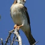 Hike + Kayak Los Haitises National Park from Boca Chica