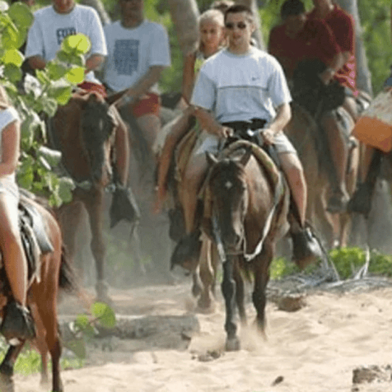 From Punta Cana: Samana Cayo Levantado & Whales
