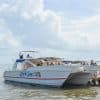 Los Haitises National Park Tour from Samaná Port