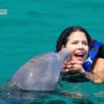 Swim with Dolphins in Punta Cana