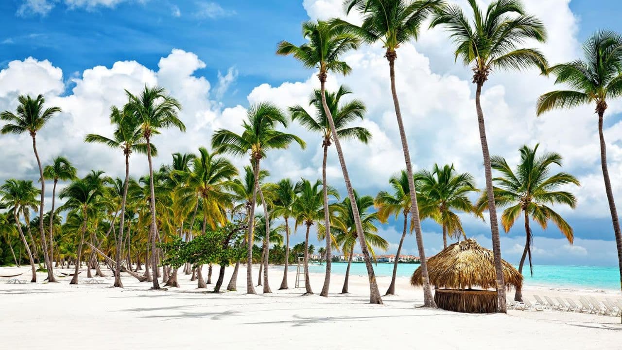 Punta Cana: Saona Island Full-Day Small Groups Tour