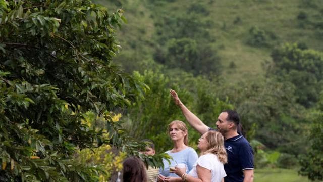 Jayuya: Coffee Tour and Workshop at Hacienda Prosperidad