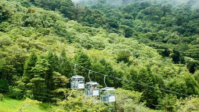 Monteverde: Sky Walk, Sky Tram & Sky Trek Ziplining Tour