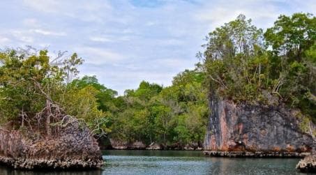 Samana: Los Haitises & Cano Hondo Overnight Tour