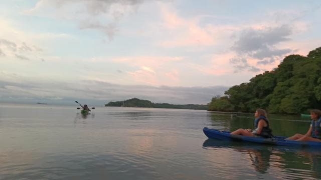 Paquera: Bioluminescent Kayak Tour Costa Rica