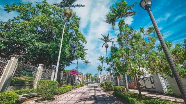 San José: City Tour & Scenic Dinner