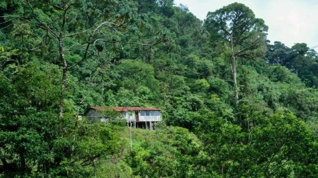 From Fortuna: 2 Day Hike to Monteverde with Hotel Transfer