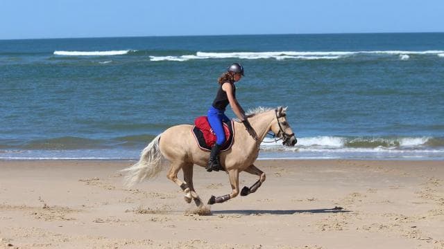 Uvita: Horseback Riding Costa Rica