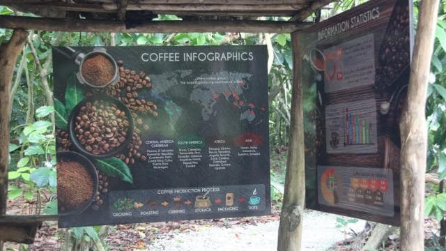 Punta Cana E-bike tour: Macao, El Salado, Ceiba, El Caño