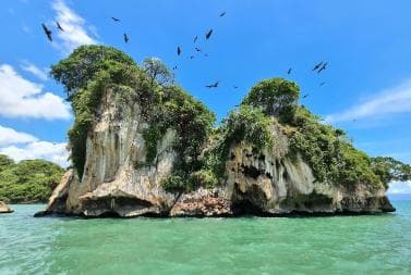 2in1: Los Haitises National Park + Yanigua Waterfall-SPA