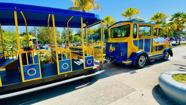 Old San Juan Trolley Sightseeing Tour: The Old & New SJ