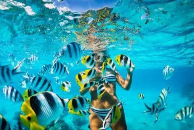 Catalina Island with Snorkel, Open Bar and Lunch