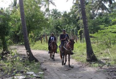 Beach horse back riding with countryside