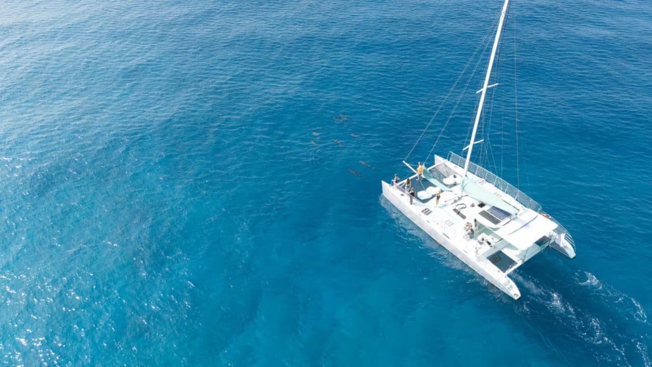 Saona Island Full Day Catamarán Food and Drink included