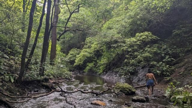 Private Tour Diria National Park Unspoken Hiking and Nature