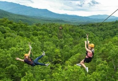 Private: Canopy Zip-Line Adventure in Punta Cana