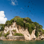 Haitises + Cayo Levantado ( Bacardi Island )