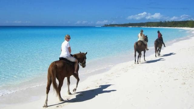 Punta Cana: Horseback Riding through Stunning Beaches