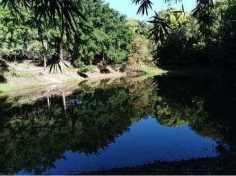 Puerto Plata: Taino Valley and Dominican Flavor Experience