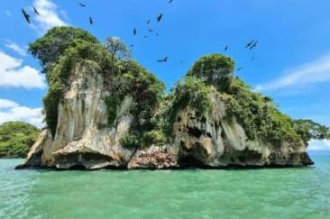 Private Samaná: Los Haitises Park, Caño Hondo & Yanigua Tour