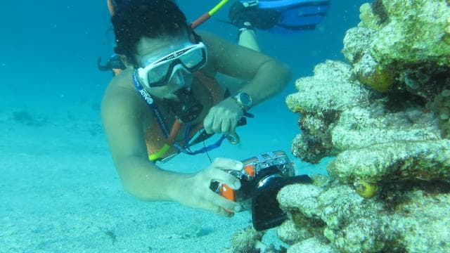 Punta Cana: Guided Power Dive Adventure