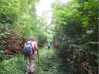27 Waterfalls Tour with Entrance Fee & Lunch