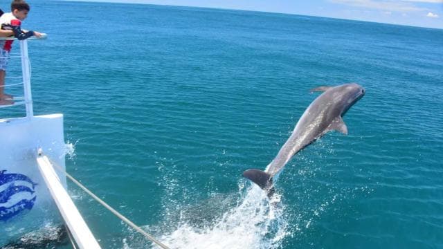All-Inclusive Catamaran Eco Adventure with Lunch
