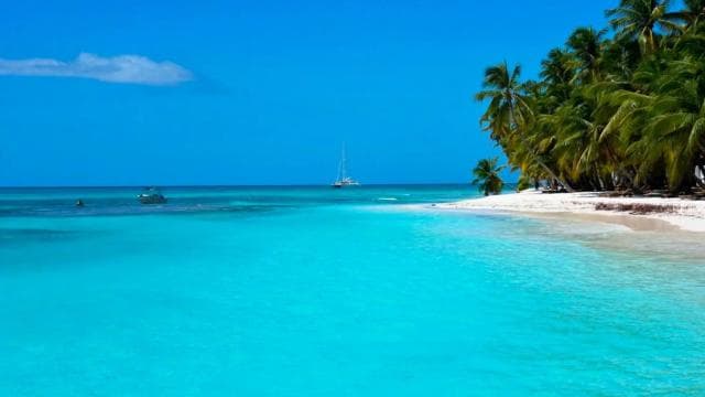 From Punta Cana: Saona Island Full-Day Tour
