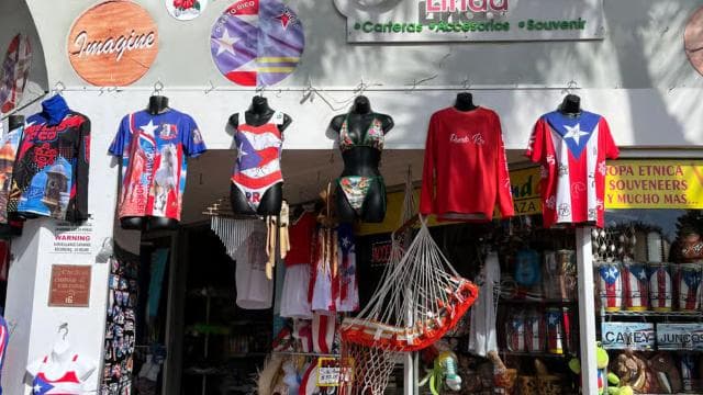 Design and Craft a Raffia Bag in San Juan
