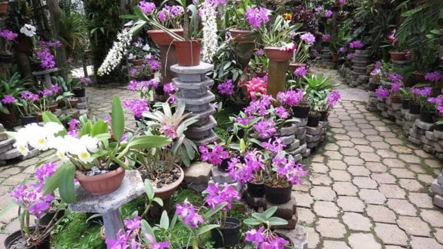 San José: Irazú Volcano, Orosi Day Tour & Lankester Gardens