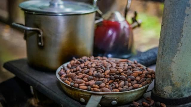 La Fortuna: Coffee and Chocolate Farm Tour