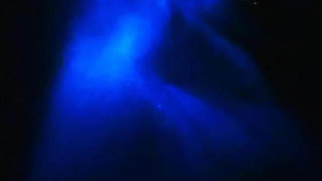 Bioluminescence Night Snorkeling Tour From Pochote Beach