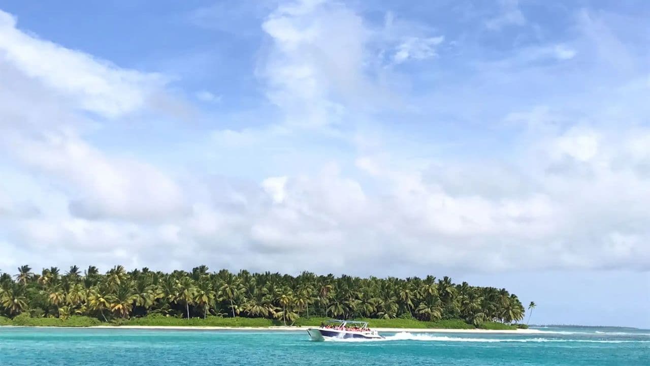 Saona Island Tour: Catamaran & Speedboat - All Inclusive