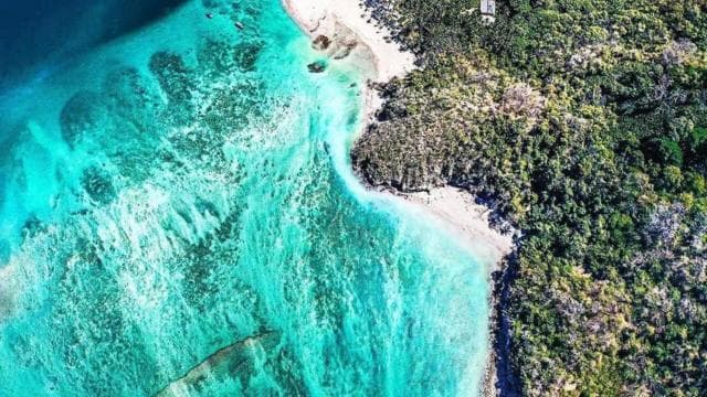 From Playa Pochote: Tortuga Island Private Tour
