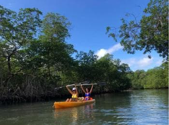 Los Haitises: Kayak and Zipline experience and lunch