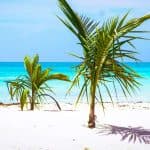 Punta Cana: Saona Island in Private Vehicle and Guide