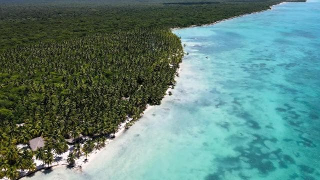 Punta Cana: All Inclusive Saona Island Experience