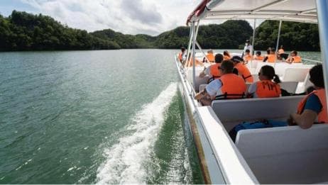 Sabana de la Mar: Los Haitises Park Bike and Boat Tour