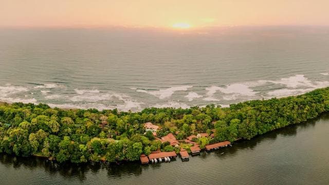 TURTLE WATCHING IN TORTUGUERO COSTA RICA