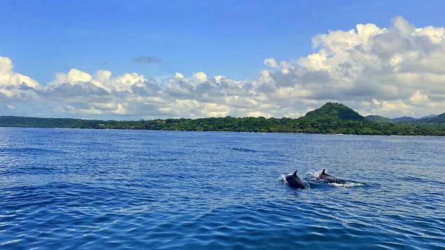 Santa Teresa: Tortuga Island Full Day Boat Tour with Snorkel