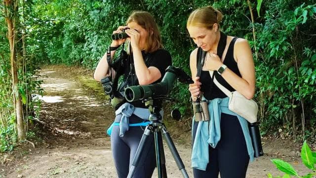 Monteverde Hanging Bridges and Night Walk Tour