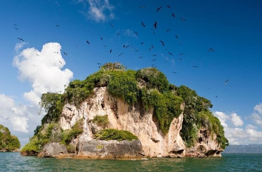 Las Galeras: Los Haitises & Cayo Levantado Tour | $79 Ecotour Adventure